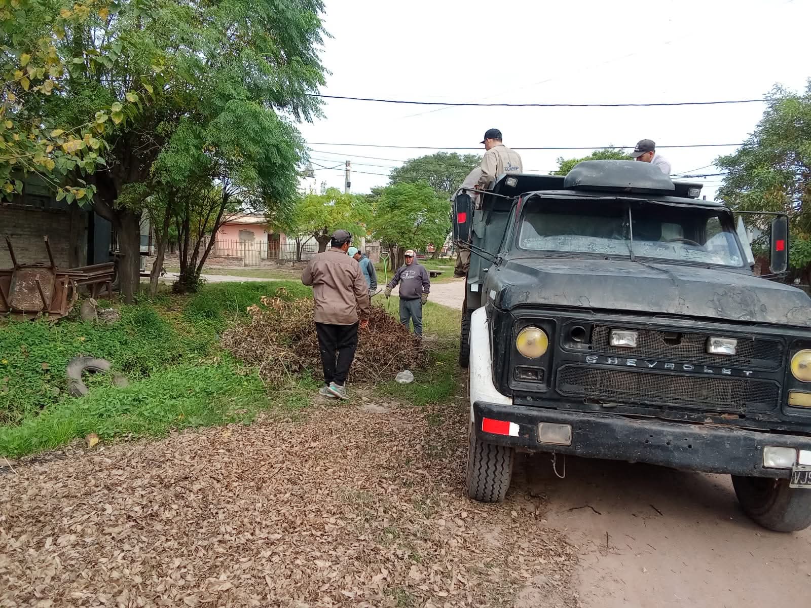 Imagen adicional
