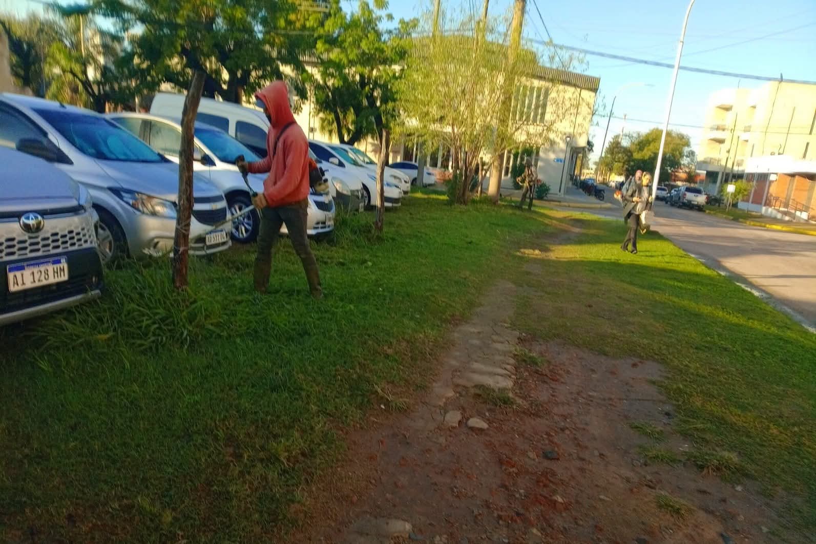 Imagen adicional