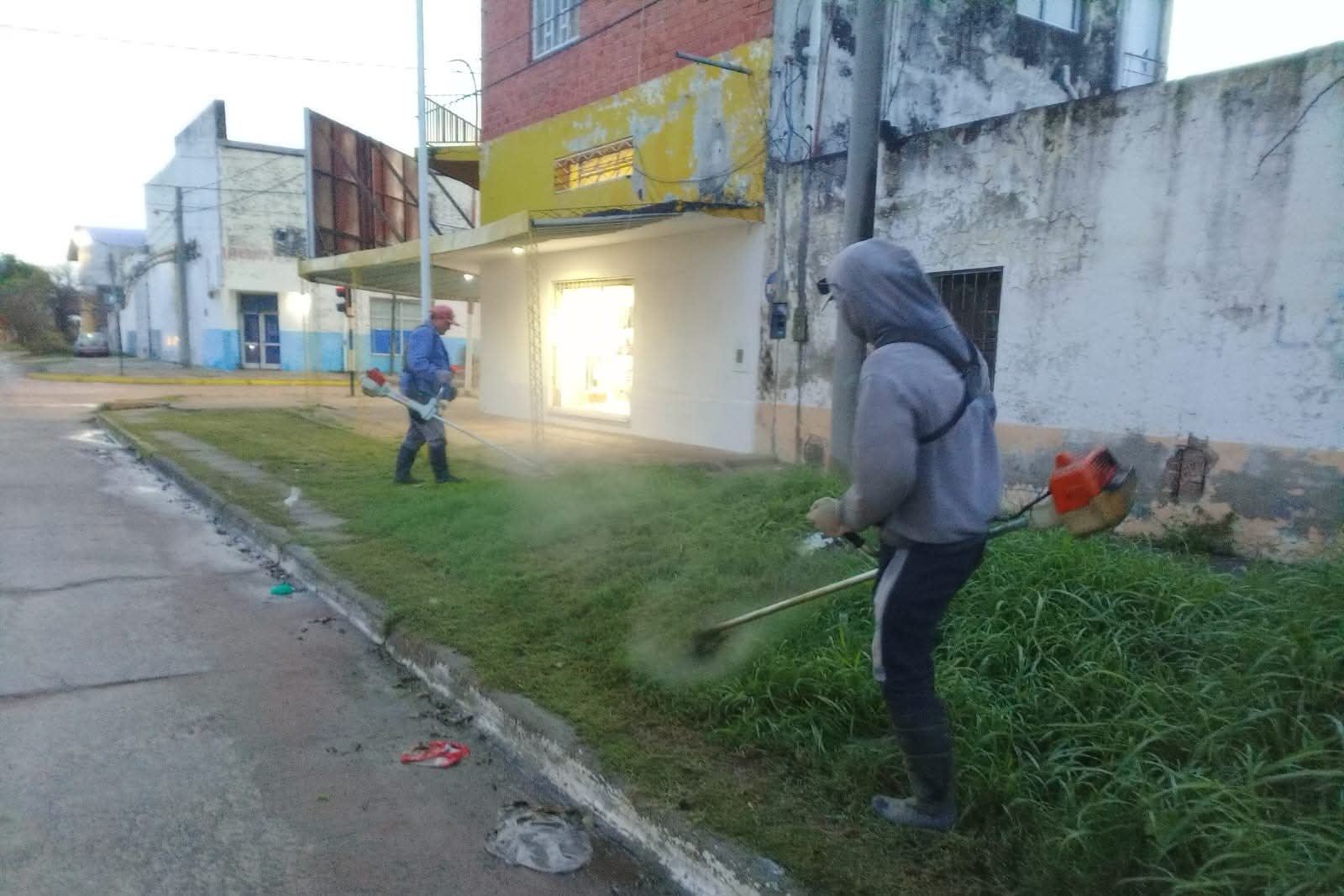 Imagen adicional