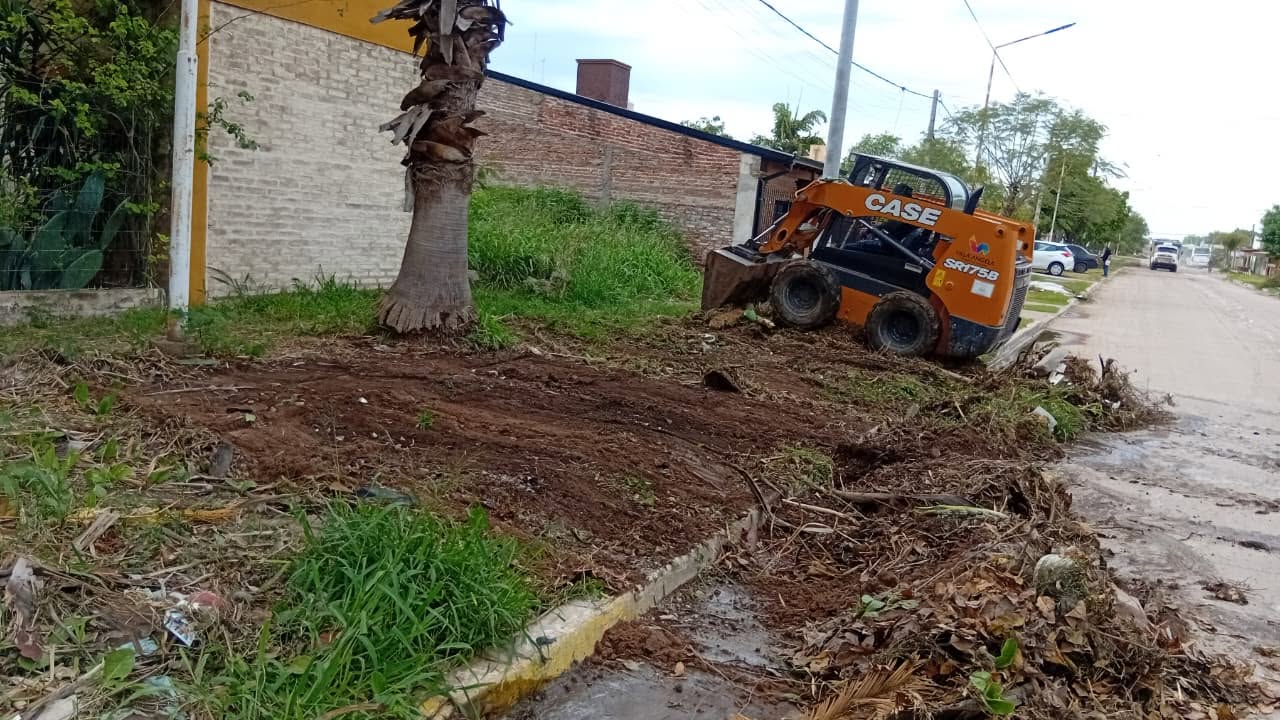 Imagen adicional
