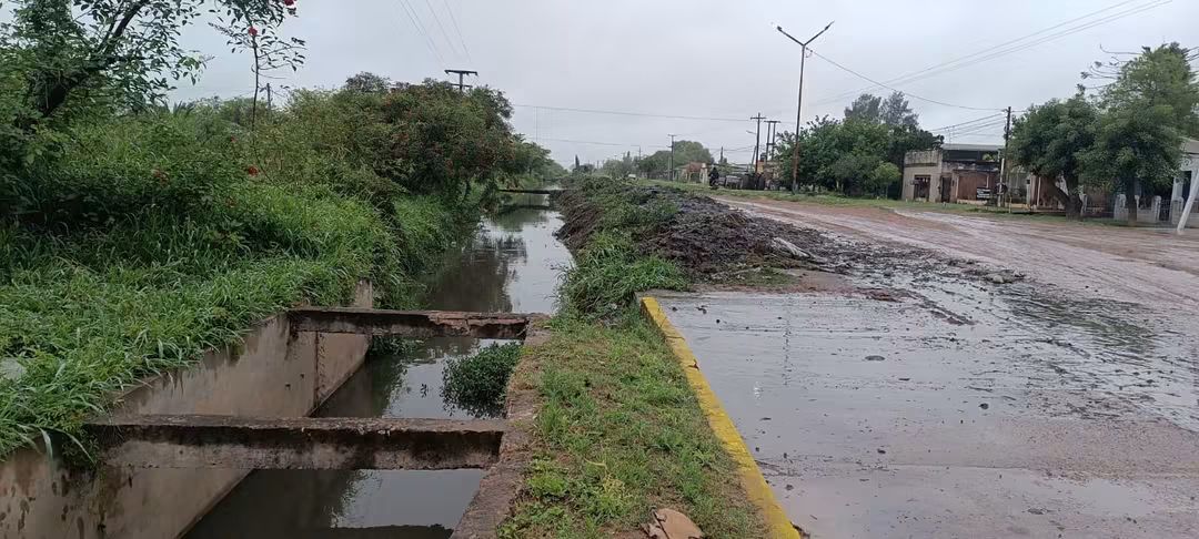 Imagen adicional