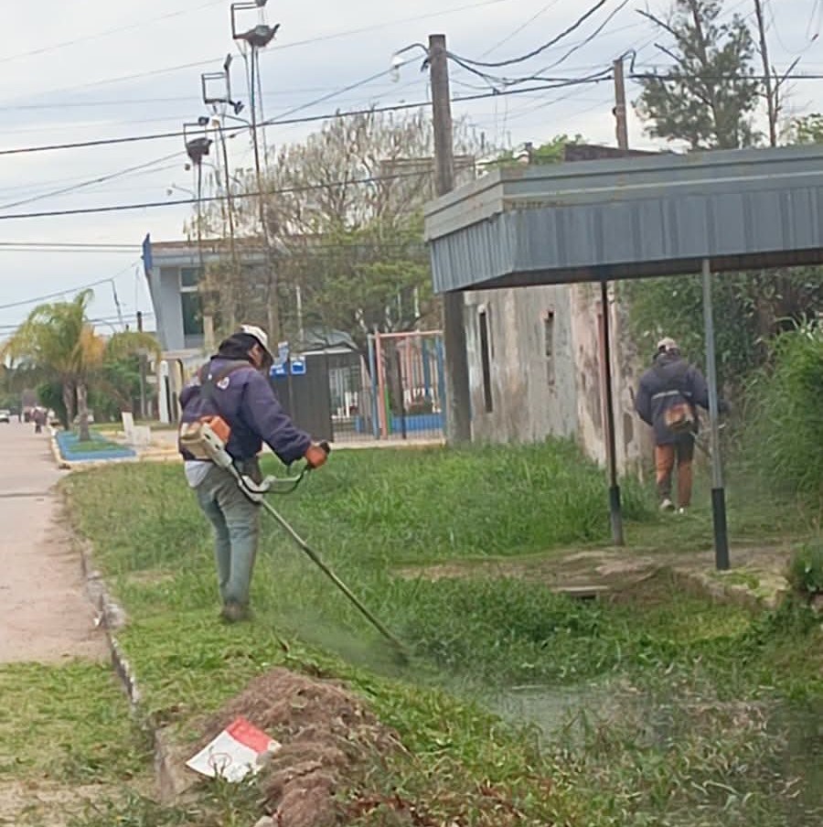 Imagen adicional